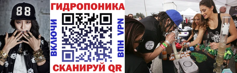 Где можно купить наркотики Кимовск Гашиш  Псилоцибиновые грибы  Амфетамин  Меф мяу мяу  Конопля 