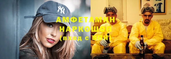 мет Инта