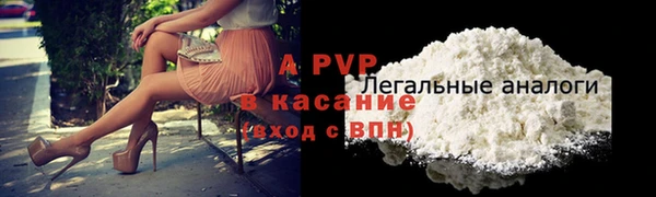 СК Гатчина