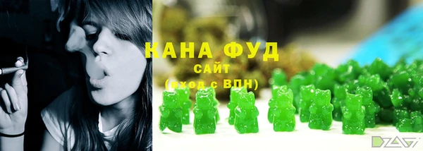 мет Инта