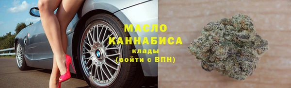 мет Инта