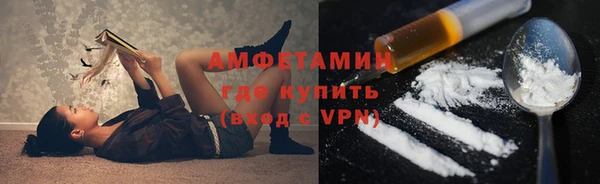 дурь Инсар