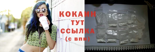 дурь Инсар