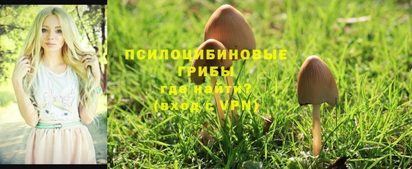 мет Инта