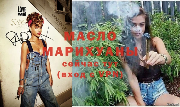 мет Инта