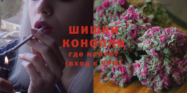 крисы Галич