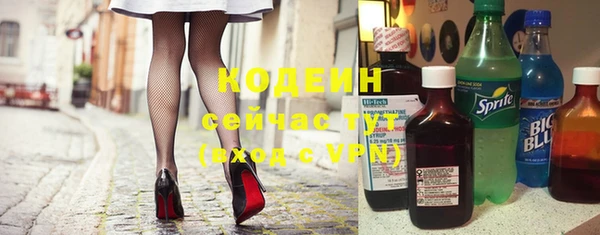 дурь Инсар