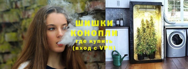 мет Инта