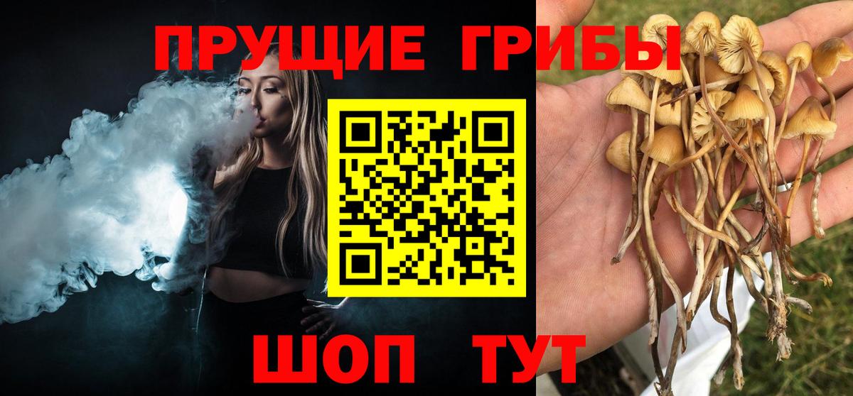 Галлюциногенные грибы Psilocybine cubensis  Псилоцибиновые грибы мицелий  Вход с VPN  Кимовск 