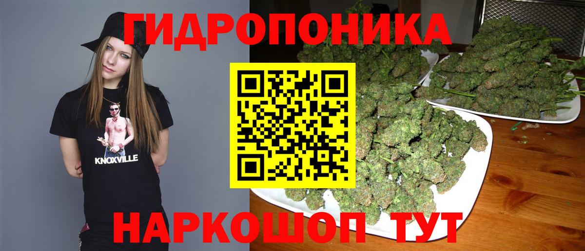 Бошки Шишки индика Кимовск